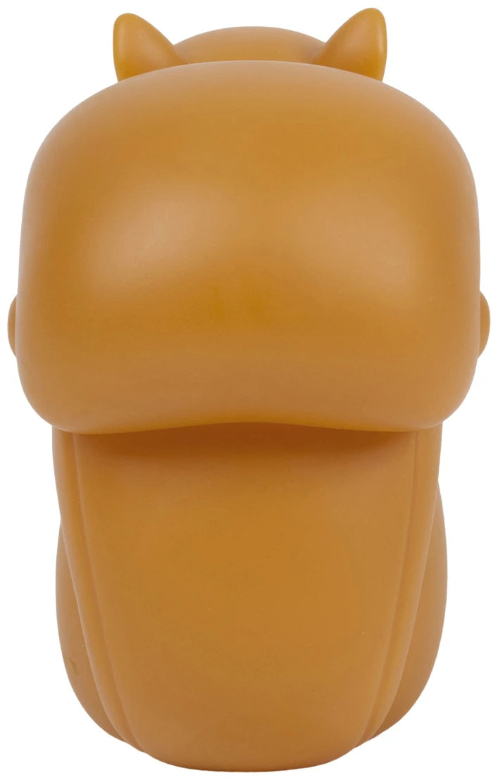 Little light: Squirrel