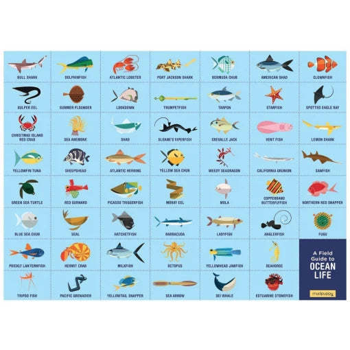 OCEAN LIFE SEARCH & FIND PUZZLE