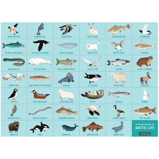 Artic Life Search & Find Puzzle