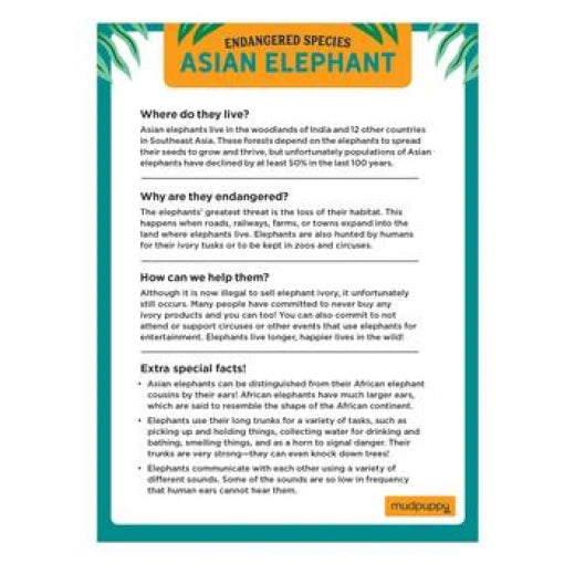 Asian Elephants Endangered Species 300 Piece Puzzle