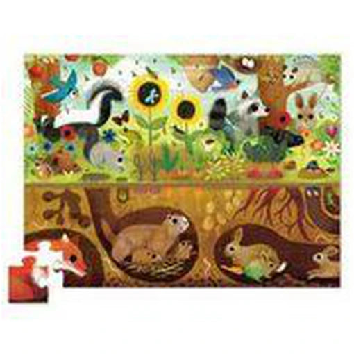 Forest Animals – Above & Below!