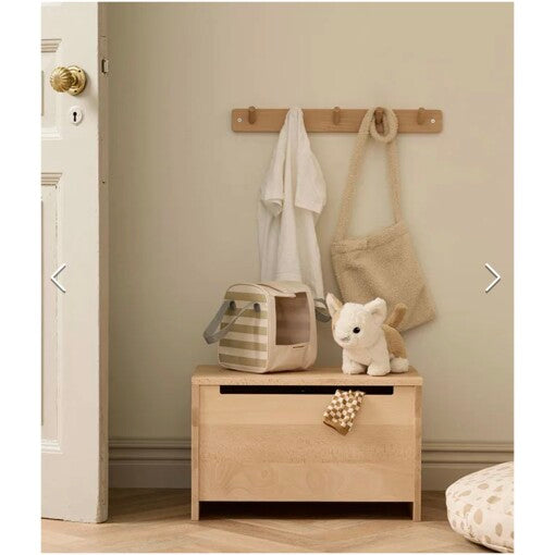 Kitty with carrying bag