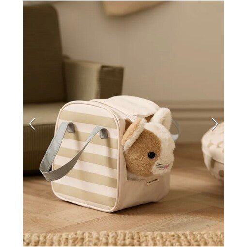 Kitty with carrying bag