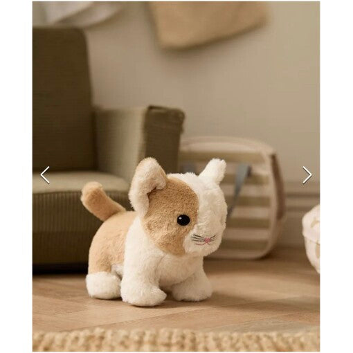 Kitty with carrying bag