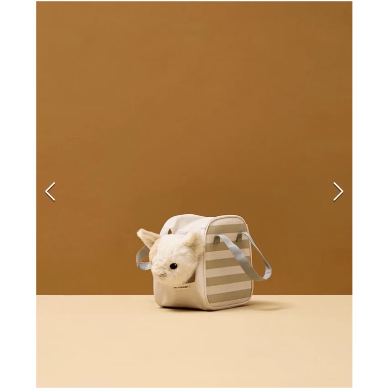 Kitty with carrying bag