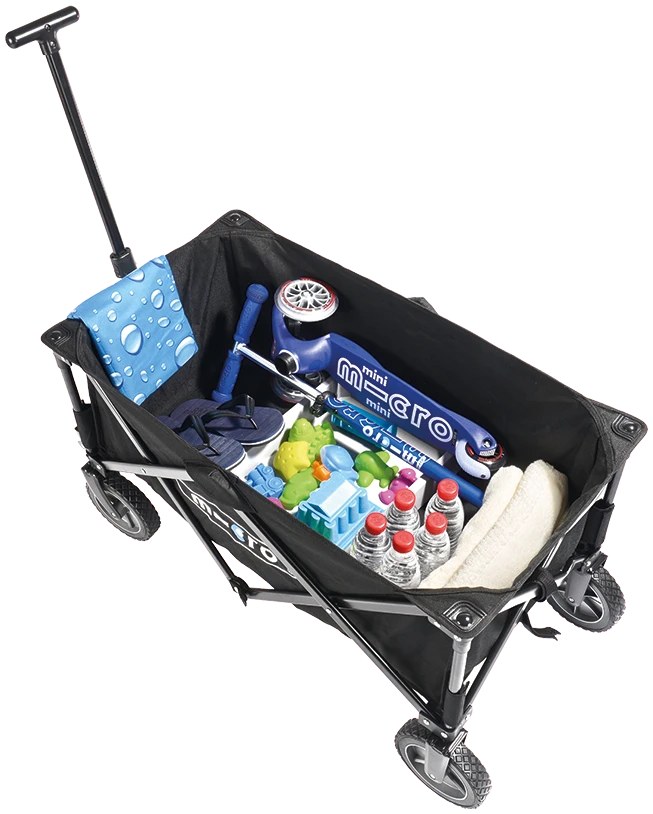 Micro Wagon – The Family Buddy