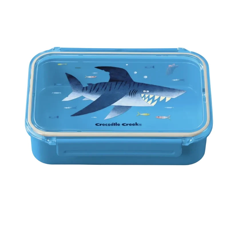 Bento Shark – Lunch Box