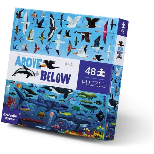 Up & Down” Sea & Sky – Above & Below!