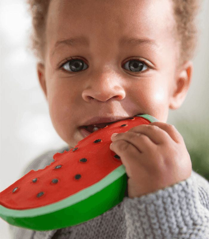 Wally the Watermelon teething toy