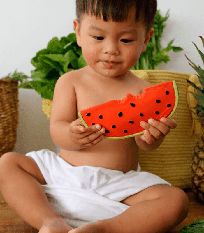 Wally the Watermelon teething toy