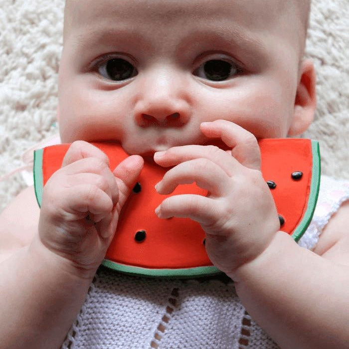 Wally the Watermelon teething toy