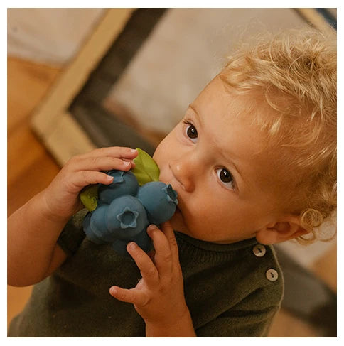 Jerry the blueberry teething toy