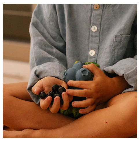 Jerry the blueberry teething toy