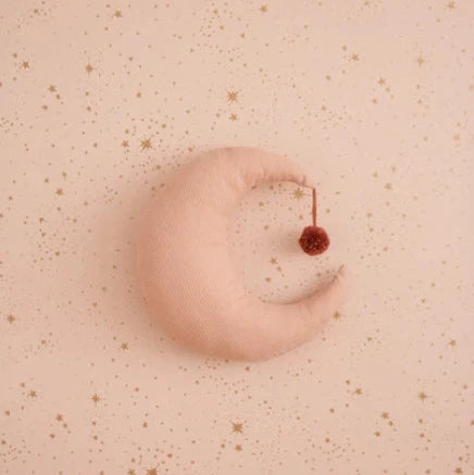 Jellyfishkids