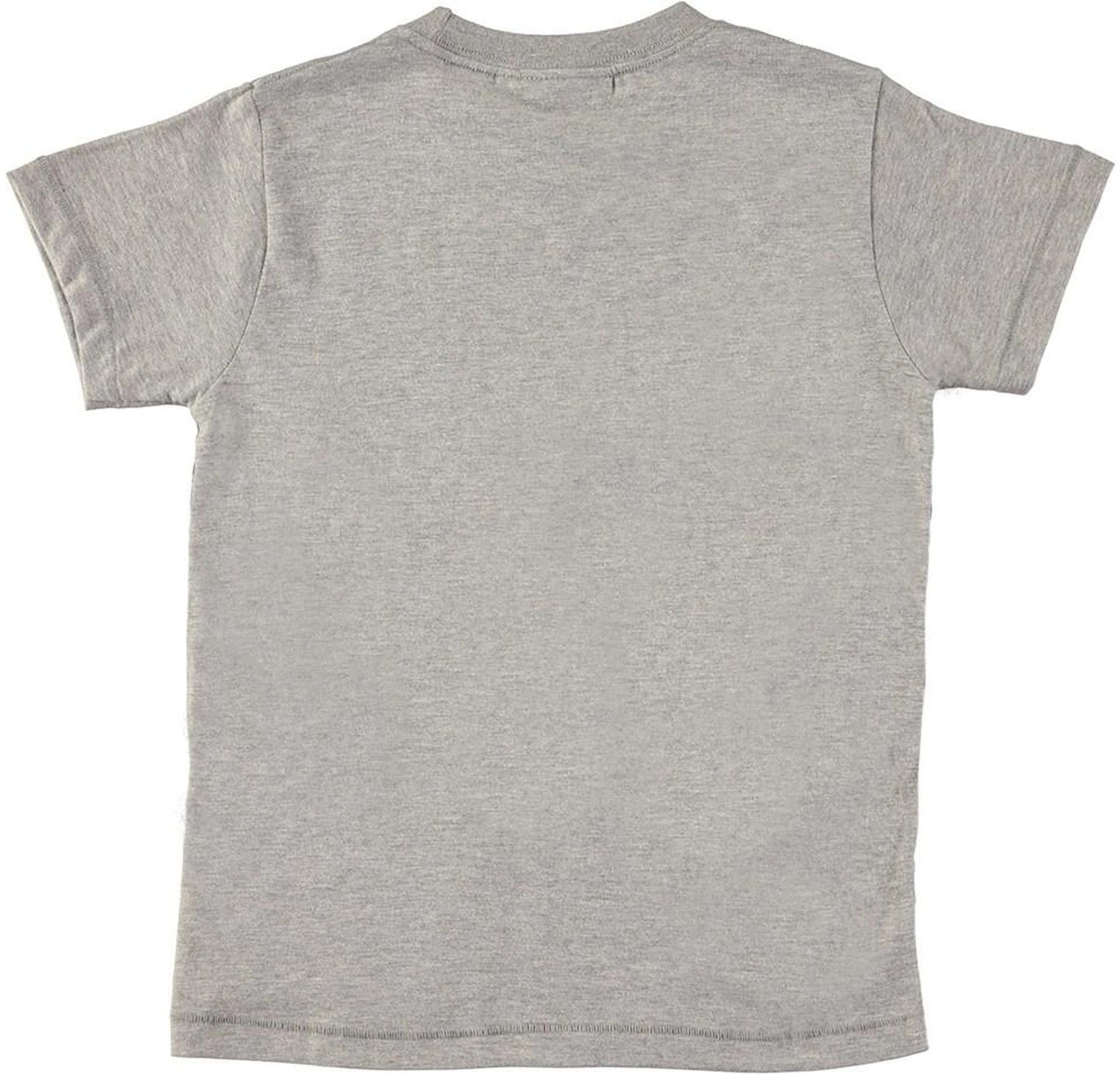 Raymont - City Text 4yrs