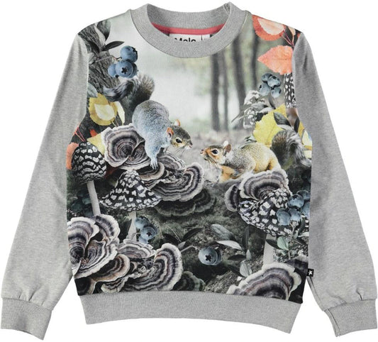 Regine Forest Squirrels Top