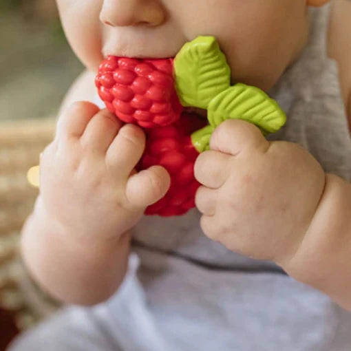 Valery the raspberry