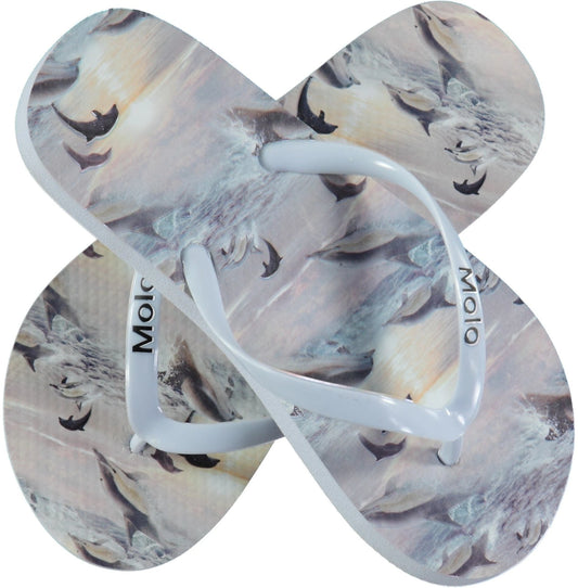 Zeppo Flip Flops – Dolphin Sunset