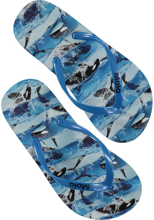 Zeppo Flip Flops – Killer whale