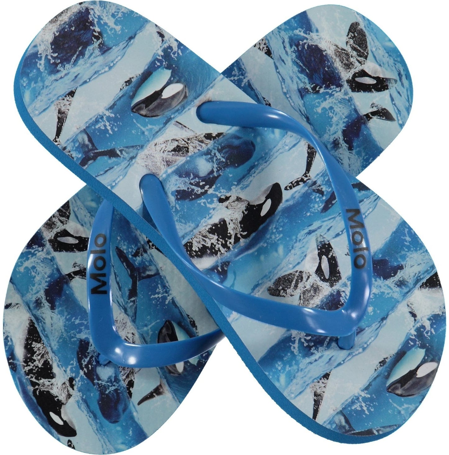 Zeppo Flip Flops – Killer whale