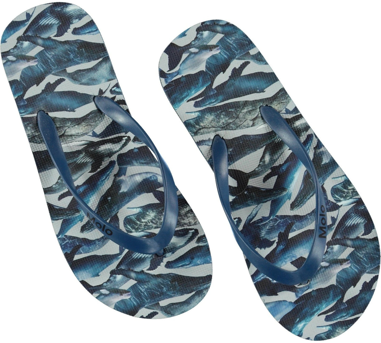 Zeppo Flip Flops – Whales