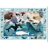 Artic Life Search & Find Puzzle-Puzzle-MUDPUPPY-jellyfishkids.com.cy