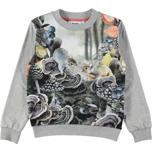 Regine Forest Squirrels Top-JUMPER-MOLO-104 - 4 yrs-jellyfishkids.com.cy