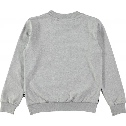 Regine Forest Squirrels Top-JUMPER-MOLO-104 - 4 yrs-jellyfishkids.com.cy