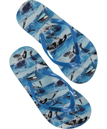 Zeppo Flip Flops - Killer whale-Flip flops-Molo-25/26-jellyfishkids.com.cy