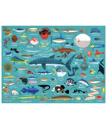 Toy Shop Jellyfishkids