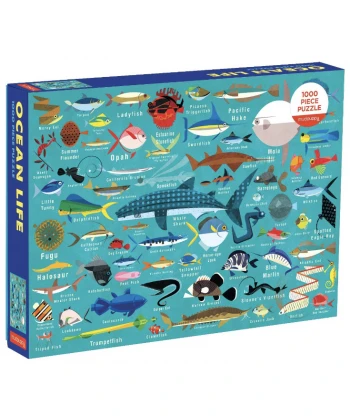 Toy Shop Jellyfishkids
