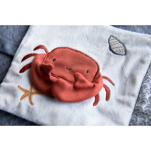 Toy Shop Jellyfishkids
